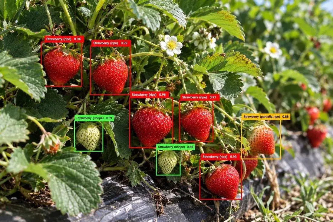 Environmental & Vegetation Annotation