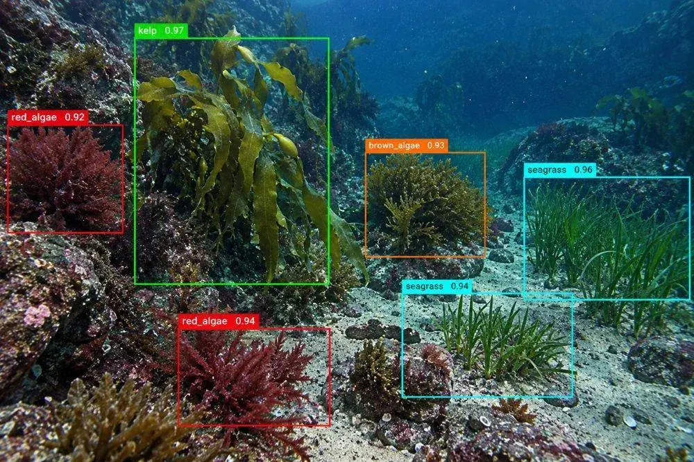 Marine & Underwater annotation example (marine.png)